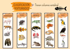 Vista previa - Tarjetas / Manipulativos - DESCRIPCIÓN DE ANIMALES - página 3