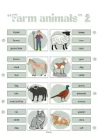 Vorschau - Aufgabenkarten - FARM ANIMALS - Klammerkarten - Seite 3