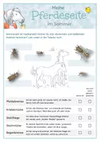 Vorschau - Arbeitsblätter - Mein Pferdetagebuch: Meine Pferdeseite im Sommer - Seite 2