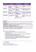 Vorschau - Arbeitsblätter - Krebs – Bösartige Tumorerkrankungen - Seite 2