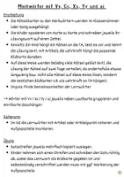 Vorschau - Bildkarten - Merkwörter mit V C X Y ai - Einführung und Übung - Seite 1