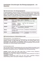 Vorschau - Arbeitsblätter - Erkrankungen des Bewegungsapparats – Rücken, Knochen & Gelenke - Seite 1
