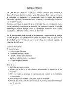 Vista previa - Unidades / Secuencias / Situaciones de Aprendizaje - LA CASA DE LOS GATOS - página 2