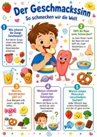 Vorschau - Poster - Lernkarte – Sinne des Menschen – Sachunterricht – Mensch und Gesundheit 3. Klasse - Seite 3