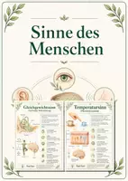 Vorschau - Poster - Lernkarte – Sinne des Menschen – Biologie – Sinnesorgane des Menschen 5. Klasse - Deckblatt