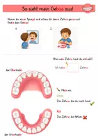 Vorschau - Unterrichtsreihen - Forscherheft Zähne Klasse 1 - Seite 2