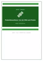 Vorschau - Arbeitsblätter - Proteinbiosynthese Sek II: Transkription, Translation & Sichelzellanämie — Arbeitsblatt mit Lösungen - Deckblatt