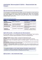 Vorschau - Arbeitsblätter - Nervensystem & Gehirn – Neuronen, Reflexe & Schlaf - Seite 1