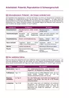 Vorschau - Arbeitsblätter - Pubertät & Schwangerschaft – Zyklus, Befruchtung & Verhütung - Seite 1