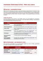 Vorschau - Arbeitsblätter - Herz & Blutkreislauf – Aufbau, Funktion & Kreislaufprozesse - Seite 1