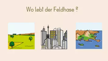 Vorschau - Präsentationen/Tafelbilder - PP_der Feldhase - Seite 2