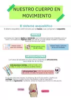 Vista previa - Fichas informativas / Documentos de lectura - El Aparato Locomotor: Resumen Visual - Portada