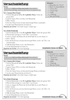 Vorschau - Arbeitsblätter - Sexualerziehung: Experiment Hygieneprodukte – handlungsorientiertes Experiment zur Menstruation - Seite 2