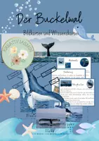 Vorschau - Arbeitsblätter - Materialpaket Meer - Unterwasserwelt - Seite 1