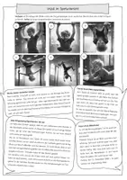 Vorschau - Stundenentwürfe - Bericht schreiben - Sportunfall (Deutsch, Klasse 5-7) - Seite 3