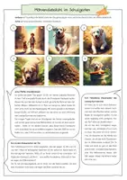 Vorschau - Stundenentwürfe - Bericht schreiben - Tierischer Möhrendieb (Deutsch, Klasse 5-7) - Seite 2