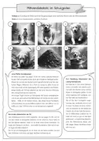 Vorschau - Stundenentwürfe - Bericht schreiben - Tierischer Möhrendieb (Deutsch, Klasse 5-7) - Seite 3