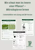 Vorschau - Unterrichtsreihen - Wie schaut man ins Innere einer Pflanze? – Mikroskopieren lernen 3 Arbeitsblätter mit Lösung und S/W-Version - Deckblatt
