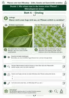 Vorschau - Unterrichtsreihen - Wie schaut man ins Innere einer Pflanze? – Mikroskopieren lernen 3 Arbeitsblätter mit Lösung und S/W-Version - Seite 1