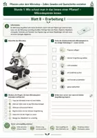Vorschau - Unterrichtsreihen - Wie schaut man ins Innere einer Pflanze? – Mikroskopieren lernen 3 Arbeitsblätter mit Lösung und S/W-Version - Seite 2