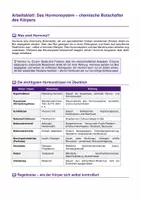 Vorschau - Arbeitsblätter - Hormonsystem – Drüsen, Hormone & Regelkreise - Seite 1