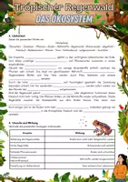 Vorschau - Arbeitsblätter - Materialpaket - Tropischer Regenwald - Seite 3