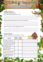 Vorschau - Arbeitsblätter - Tropischer Regenwald - Ökosystem - Seite 3