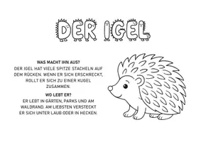 Vorschau - Arbeitsblätter - 44 Waldbewohner entdecken – Wissenstexte & Ausmalbilder für Klasse 1–2 - Seite 1