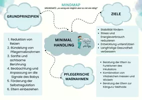 Vorschau - Arbeitsblätter - Minimal Handling bei Frühgeborenen - Mindmap & Zuordnung (Pflege) - Seite 3