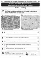 Vorschau - Unterrichtsreihen - Was ist eine Pflanzenzelle? – Pflanzenzelle und Tierzelle im Vergleich 3 Arbeitsblätter mit Lösung und S/W-Version - Seite 1