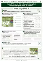 Vorschau - Unterrichtsreihen - Wie ist ein Blatt im Querschnitt aufgebaut? – Gewebe und Funktionen verstehen 3 Arbeitsblätter mit Lösung und S/W-Version - Seite 3
