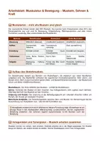 Vorschau - Arbeitsblätter - Muskulatur & Bewegung – Aufbau und Funktion der Muskeln - Seite 1