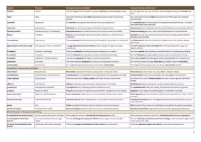 Vorschau - Merkblätter - American Dream - Topic Vocabulary | Language Support | Scaffolds - Seite 3
