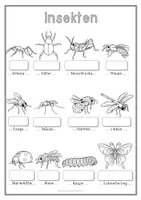 Vorschau - Spiele - Insekten Materialpaket (Wortschatz) - Seite 3