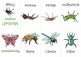 Vorschau - Anderer Materialtyp - Insekten Miniheft in Farbe und s/w - Seite 1