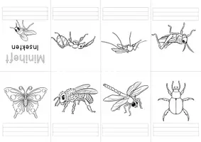 Vorschau - Anderer Materialtyp - Insekten Miniheft in Farbe und s/w - Seite 3