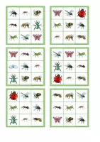 Vorschau - Spiele - Insekten Bingo - Spiel - Seite 1
