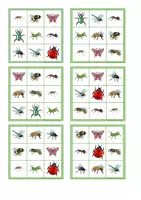 Vorschau - Spiele - Insekten Bingo - Spiel - Seite 2