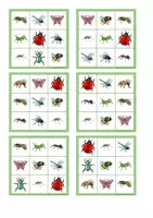 Vorschau - Spiele - Insekten Bingo - Spiel - Seite 3
