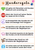 Vorschau - Fördermaterial/Inklusion - Materialpaket: Hunderegeln + Streichellandkarte - Seite 3