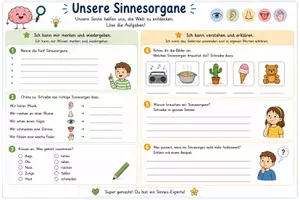Vorschau - Arbeitsblätter - Sinnesorgane - Arbeitsblätter - Seite 3