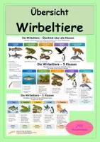 Vorschau - Arbeitsblätter - Wirbeltiere - Übersicht über die Wirbeltierklassen - Deckblatt