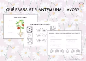 Vista previa - Hojas de trabajo - Projecte Les plantes - Portada