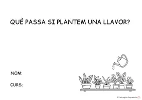 Vista previa - Hojas de trabajo - Projecte Les plantes - página 1