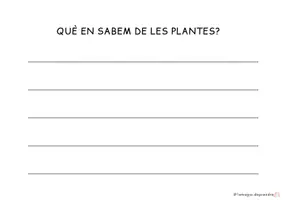 Vista previa - Hojas de trabajo - Projecte Les plantes - página 2
