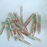 Vorschau - Stundenentwürfe - Riesiges Materialpaket - Alle Materialien von Lindgrens Raeubertochter ) - Deckblatt