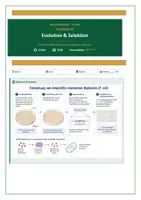 Vorschau - Prüfungsvorbereitung - Evolution / Antibiotika-Resistenz — 15-Min-Mini-Klausur Abitur - Deckblatt
