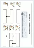 Vorschau - Arbeitsblätter - Historische Evolutionstheorien – Lamarck und Darwin im Vergleich - Seite 3