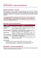 Vorschau - Arbeitsblätter - Die Nervenzelle – Aufbau & Ruhepotenzial - Seite 1