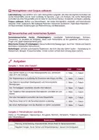 Vorschau - Arbeitsblätter - Das Gehirn – Aufbau & Funktionen - Seite 2